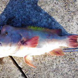 岩屋一文字で一泊